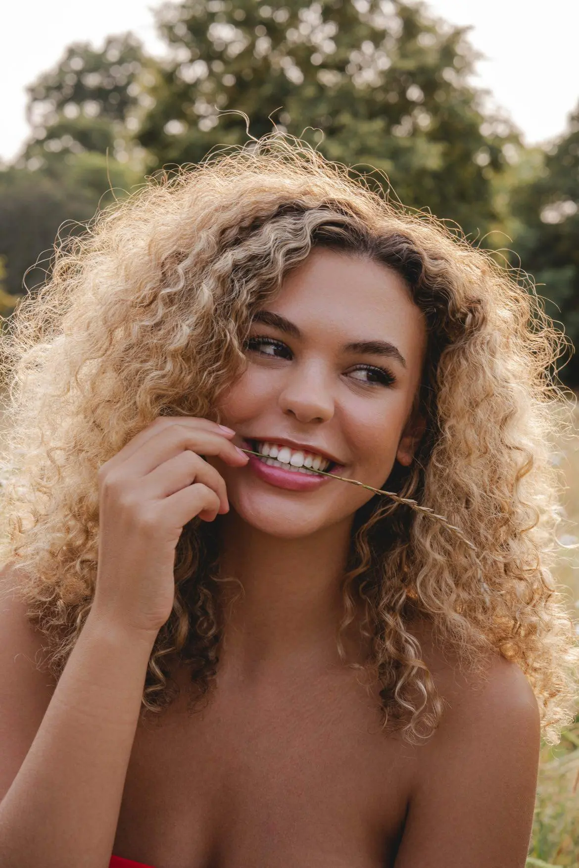 White Fillings Winchester